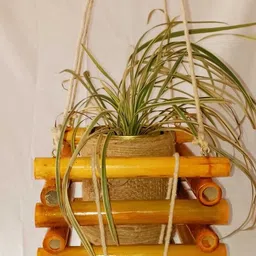 watika craft ceiling Hanging bamboo Planter . hanging Pot Planter ( Jhumar Planter ) Garden Gnome image 4