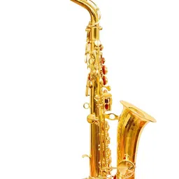 skylark international Saxophone With Hard Case, Belt, Gloves and Extra Reed In Gold Lacquer Finishing SKY10011 Alto Saxophone image 1