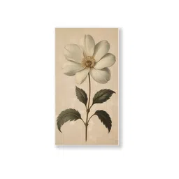 nestroots White Flower Canvas Series Set of 3 Printed Wall Painting White Frame image 3