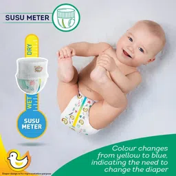 snuggy Gold Baby Diaper Pant - S image 5