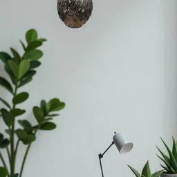 areezo Ceiling Light Ceiling Lamp image 2