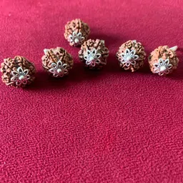 rudraksham 6 Mukhi Nepali Rudraksha Pendant With Certificate Of Authenticity (Set of 6) Silver Brass Locket Set image 3