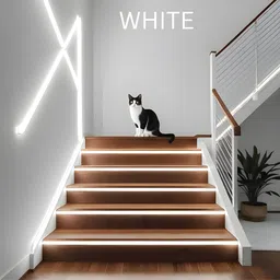 shinepark 600 LEDs 5 m Purple, White Steady Strip Rice Lights image 4