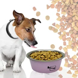 emily pets Stainless Steel Pet Bowl image 3