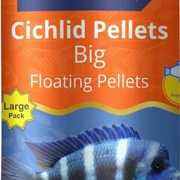 aqualyf pets Intan Cichlid Pellets Fish Food for Cichlid Fish Health and Growth 165 Gram Fish 0.165 kg Dry Young Fish Food image 1