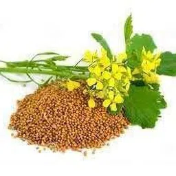 evana organic fertilizer mustard cake for plants organic growth booster Fertilizer image 3