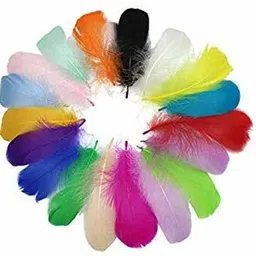 tiptop decoration Natural Dyed Feathers 10 cm (80 pieces) Multicolor-picture-28