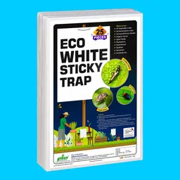 green revolution A4 ECO White Sticky Trap For Garden and Farm, To control, Red Mites, Fly Insect.-picture-24