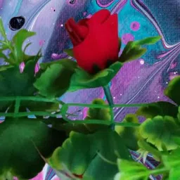 dynamic retail global Artificial Hanging Flowers Plant Wall Hanging Garland Chain Home Decor BA227 Multicolor Rose Artificial Flower image 2