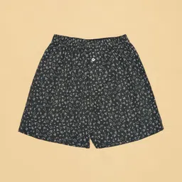 ajile by pantaloons Solid Men Boxer image 3