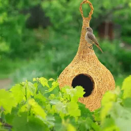 liveonce NATURAL BIRD NEST FOR ALL BIRDS AND SQUIRREL Bird House image 3