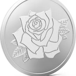 Rose M-BYE S 999 20 g Silver Coin-image-56