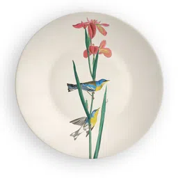 quirk india Multicolour Ceramic Indian Birds Set Of 8 & 10 Inch Decorative Wall Plates- Set Of 6 image 3