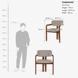 orange tree Aris Chair In Kiara Finish image 2