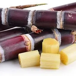 ayodvati Desi organic Red sugarcane seeds (10 seeds p.) laal ganna beej 4 to 5 inch seeds Seed-picture-12