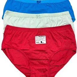 smle Pack of 4 Women Hipster Multicolor Panty image 3