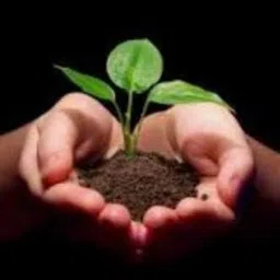 GardenDec1031 Compost for Plants Home Garden Pack 1 KG image 2