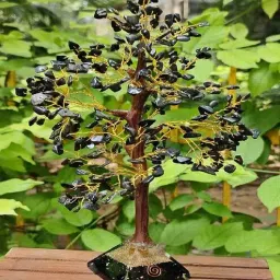 Black Quartz Stone Fortune Crystal Tree Showpiece by Muren-picture-29