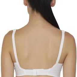 libertina Pack of 2 Women Full Coverage Non Padded Bra image 2