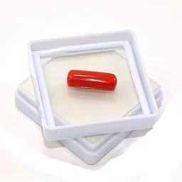 Sahiba Gems Red Cut Natural Coral Gemstone image 4