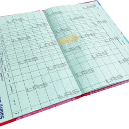 lrs Salary Bill Register for Schools/Colleges/Offices - 38 Pages Single - 13 Entries per Page - 34x21 cm 1-Part Salary Record Register image 3