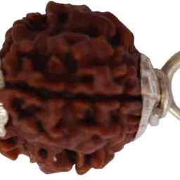 beautum 3 MUKHI ORIGINAL RUDRAKSHA NATURAL FOR MEN AND WOMEN Wood Pendant-picture-36