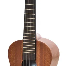 blueberry UK10 IN Concert Ukulele image 2