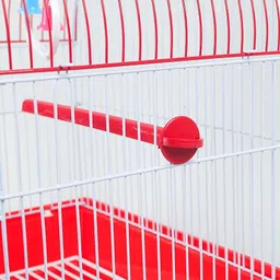 petzlifeworld Training Perch Bird image 5