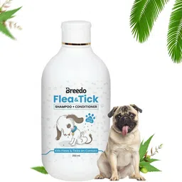 breedo Allergy Relief, Conditioning, Anti-fungal, Anti-microbial, Anti-itching, Anti-dandruff Natural Dog Shampoo-picture-28