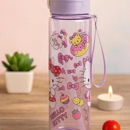 ogaura Cinnamoroll 1000 ml Water Bottle-picture-18