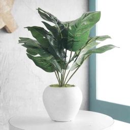 foliyaj Plastic Green 9 Large Leaves Money With Pot Artificial Plant-picture-38