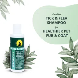 tail & collar club Anti Tick and Flea Shampoo 200ml + Bathing and Grooming Hand Brush Flea and Tick, Allergy Relief, Anti-itching Eucalyptus Dog Shampoo image 5