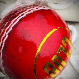 nizex Leather Cricket Hanging Ball Red For Shot Practice (1 Ball) v70 Cricket Training Ball-picture-11