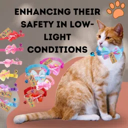 western era Cat Bow Collar Bell, a chic & secure accessory, elegance & stylish pet adornment Cat Everyday Collar image 3