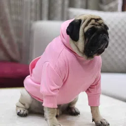 baeship Hoodie for Dog-picture-16