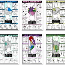 pixelartz Wall Poster Workout and Exercises Illustrations Bodybuilding Motivational Gym Posters HD Quality Posters for Home, Office, Room Wall Door Decor Multicolor (Pack of 6 posters) Paper Print-picture-16
