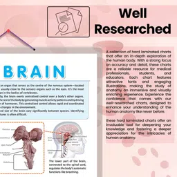 go woo THE BRAIN CHART | Journey through the Brain: Comprehensive Anatomy Chart Paper Print image 3