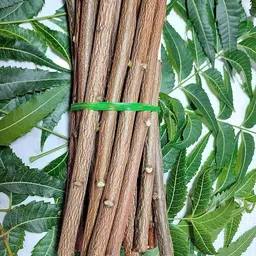 gau kanika 100% Premium Ayurvedic Organic Neem Datun Sticks Medium Toothbrush image 2