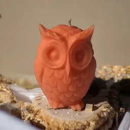 rishargi creation Lucky Owl Candle | Pair of 2 Candle image 2