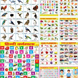 janil Early Learning Educational Chart for Kids | Learn About English Alphabet, Fruit, Vegetables, Animals, Birds, Part of Body, Hindi Vernmala, Transport, Numerical & Flower with Colourful Picture for Children Fine Art Print-picture-24