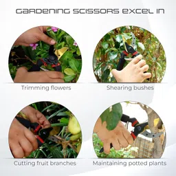 daccfy Gardening Scissors Plants Scissor | Garden Shear Tree Branch Pruner Gardening Cutter Tool | Plant Cutter for Home Garden | Wood Branch Trimmer Bypass Pruner image 5