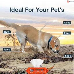 pawkare Pet Wipes for Dogs, Cats | Aloe,Vitamin E | Thick, Moist, pH Balanced, 160 Wipes Pet Ear Eye Wipes image 4