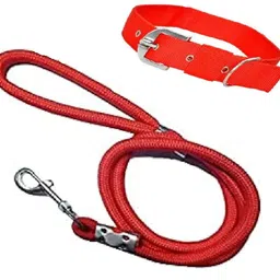 quickato Good Nylon Dog Belt Combo of Red Dog Collar with Red Leash Lengthy Dog Collar & Leash-picture-12