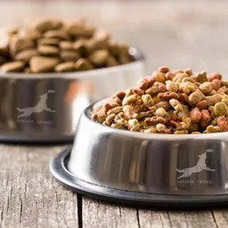 chullbull pet products Stainless Steel Pet feeding Bowl 400ml Anti Skid pet feeder 400ml (SET OF 2 ) Stainless Steel, Silicone Pet Bowl image 2