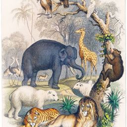 cvanu Enjoy Together Jungle Family Wooden Exam Clipboard Writing Examination Pad_CV22-picture-1