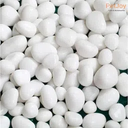 petjoy White Pebbles- 2Kg (2.5cm - 4cm) |Aquarium Fish Tank |Unplanted Substrate Gravel Unplanted Substrate-picture-24