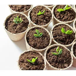 rama pipe COCOPEAT POWDER 1 KG- 100% NATURAL AND ORGANIC COCOPEAT / COIRPITH POWDER Potting Mixture image 5