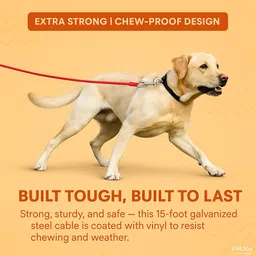 petjoy Stainless Steel Tie-Out Cable/Leash for Dogs -12 Feet (Color may vary) 360 cm Dog Cord Leash image 2