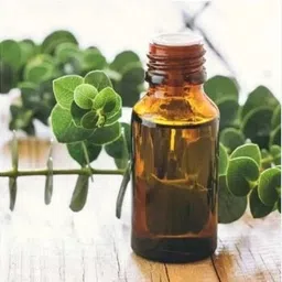 house of common Eucalyptus Oil 100+100 image 3