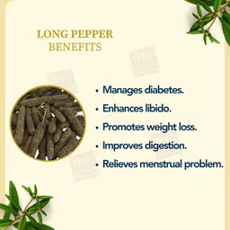 the hfc pipal choti, pippali, long pepper, piper retrofractum Seed image 3